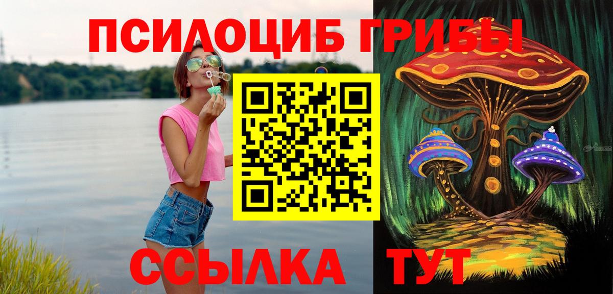 Псилоцибиновые грибы Psilocybine cubensis  Псилоцибиновые грибы прущие грибы  Ипатово  Вход с VPN 